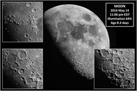 Kanapaha Quarter Moon (click to enlarge)