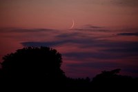 Youn Waxing Crescent Moon (click to enlarge)