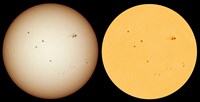 The Sun and SOHO (click to enlarge)