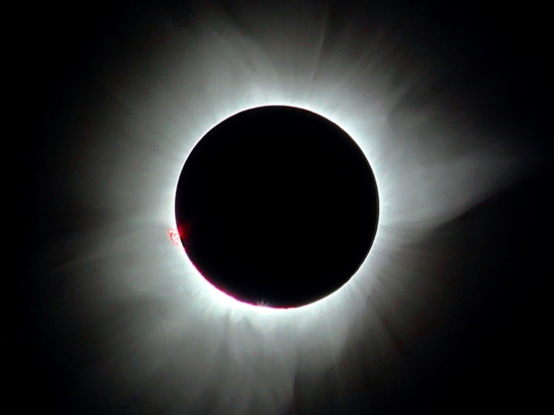 2024 Solar Eclipse Cruise Holland America