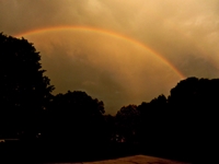 Raindbow (click to enlarge)