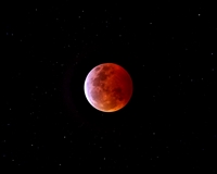 Eclipsed Moon in Cancer Star Field (click to enlarge)