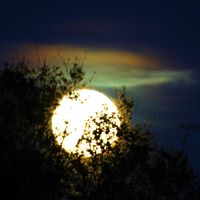 Penumbral Lunar Eclipse (click to enlarge)