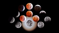 LunarEclipseComposite.2025-03-14.jpg (click to enlarge)