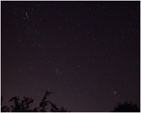 Green Perseid in Cassiopeia (click to enlarge)