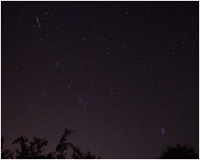 Green Perseid in Cassiopeia (click to enlarge)