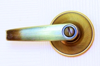 Door Handle (click to enlarge)