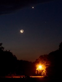 Moon Hoax-Street View