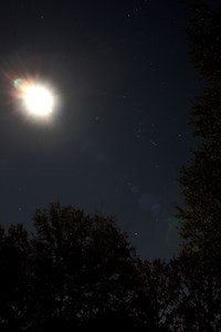 Moon in Orion (click to enlarge)