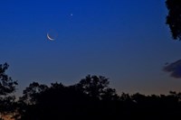 Moon and Venus Rising Moon and Venus Rising