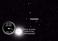 Venus in the Pleiades (click to enlarge)