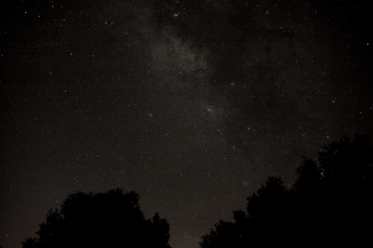 Milky Way (click for pictures)