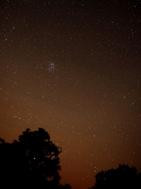 Pleiades Rising (click to enlarge)