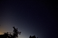 RHO