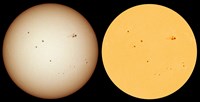 The Sun and SOHO (click to enlarge)